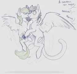 Size: 2100x2000 | Tagged: safe, artist:cheshchesh, oc, oc:chesh, unofficial characters only, pegasus, pony, blushing, cat tail, cyrillic, dialogue, duo, female, flying, image, implied gay, male, offscreen character, png, russian, spread wings, straight, wings