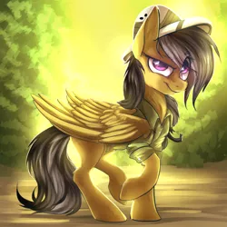 Size: 1000x1000 | Tagged: safe, artist:aliona, artist:cheshchesh, artist:lijil, daring do, pegasus, pony, collaboration, female, image, jpeg, looking at you, mare, raised leg, smiling, smirk, solo