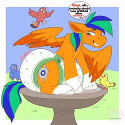 Size: 2000x2000 | Tagged: suggestive, derpibooru import, oc, unofficial characters only, bird, pegasus, pony, bird bath, diaper, diaper fetish, fetish, image, jpeg, male, poofy diaper, solo, wet diaper