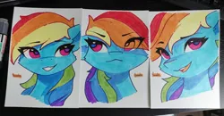 Size: 1280x664 | Tagged: safe, artist:freeedon, derpibooru import, part of a set, rainbow dash, pegasus, pony, bust, eye clipping through hair, image, jpeg, solo, traditional art