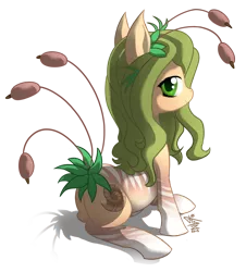 Size: 1000x1104 | Tagged: safe, artist:fidzfox, derpibooru import, oc, unofficial characters only, original species, plant pony, pony, cattails, female, image, looking at you, looking back, mare, plant, png, reeds, simple background, sitting, smiling, solo, transparent background