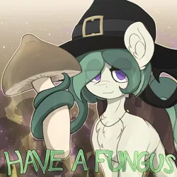 Size: 3999x3999 | Tagged: safe, artist:czu, derpibooru import, oc, oc:coven, unofficial characters only, chest fluff, ear fluff, eye clipping through hair, hat, image, mushroom, png, witch hat