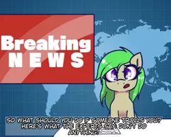 Size: 1000x800 | Tagged: safe, artist:plaguemare, derpibooru import, oc, unofficial characters only, pony, breaking news, dialogue, female, green mane, image, mare, news, news report, png, sitting, solo, subtitles, talking, trolling