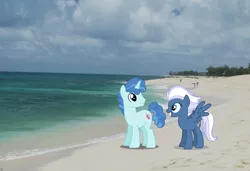 Size: 2048x1397 | Tagged: safe, artist:ambassad0r, artist:dashiesparkle, artist:mlplover94, derpibooru import, night glider, party favor, pegasus, pony, unicorn, beach, female, hawaii, honolulu, image, irl, jpeg, male, mare, partyglider, photo, ponies in real life, shipping, spread wings, stallion, straight, wings