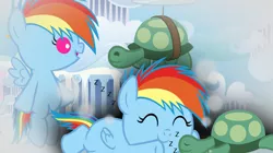 Size: 3427x1920 | Tagged: safe, artist:beavernator, derpibooru import, edit, rainbow dash, tank, pegasus, pony, tortoise, season 5, tanks for the memories, ^^, all glory to the beaver grenadier, baby, baby dash, baby pony, cloudsdale, cropped, cute, dashabetes, dream, duo, eyes closed, female, filly, flying, foal, image, jpeg, male, onomatopoeia, sleeping, smiling, sound effects, spread wings, tankabetes, wings, younger, zzz