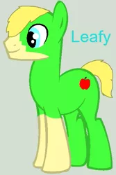 Size: 395x593 | Tagged: safe, derpibooru import, editor:wonderwolf51, oc, oc:leafy, earth pony, pony, green pony, image, male, png, solo, stallion