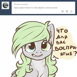 Size: 1000x1000 | Tagged: safe, artist:cheshchesh, oc, oc:chesh, unofficial characters only, pegasus, pony, ask, cyrillic, ear fluff, female, heterochromia, image, jpeg, looking at you, mare, pale belly, russian, simple background, smiling, solo, tumblr, white and gold or black and blue dress meme, white background