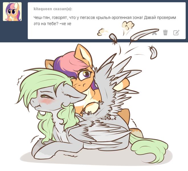 Size: 1000x909 | Tagged: questionable, artist:cheshchesh, oc, oc:chesh, oc:kita, unofficial characters only, pony, ask, blushing, cyrillic, feather, floppy ears, image, lidded eyes, nudity, orgasm, pale belly, png, prone, russian, shivering, simple background, smiling, smirk, socks (coat marking), spread wings, surprised, tumblr, white background, wingboner, winggasm, wings