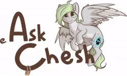 Size: 643x388 | Tagged: safe, artist:cheshchesh, oc, oc:chesh, unofficial characters only, pony, ask, collar, female, flying, header, heterochromia, image, jpeg, looking at you, mare, pale belly, simple background, solo, spread wings, tumblr, white background, wings