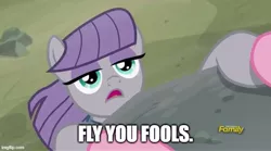Size: 669x373 | Tagged: safe, derpibooru import, edit, edited screencap, screencap, maud pie, pinkie pie, earth pony, pony, rock solid friendship, caption, cliff, female, fly you fools, gandalf, hanging, image, image macro, imgflip, jpeg, lord of the rings, mare, meme, offscreen character, pov, solo focus, text