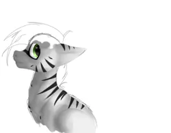 Size: 1280x998 | Tagged: safe, artist:cheshchesh, oc, unofficial characters only, zebra, floppy ears, image, jpeg, lineless, looking at you, looking back, looking back at you, simple background, sketch, solo, white background