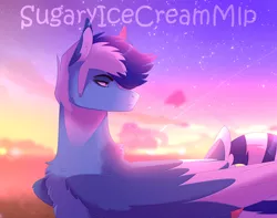 Size: 1280x1007 | Tagged: safe, artist:sugaryicecreammlp, derpibooru import, oc, oc:wind storm, pegasus, pony, image, jpeg, male, solo, stallion