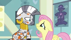 Size: 1280x720 | Tagged: safe, derpibooru import, screencap, fluttershy, zecora, pegasus, pony, zebra, a health of information, season 7, cute, duo, duo female, female, frown, image, looking at each other, looking at someone, png, sad, sadorable, terrified