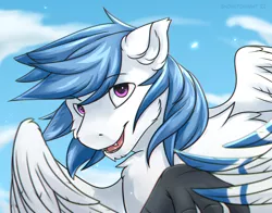 Size: 2800x2200 | Tagged: safe, artist:snowstormbat, derpibooru import, oc, oc:delta dart, hippogriff, bust, chest fluff, image, male, png, portrait, smiling, solo, wings