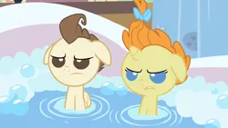 Size: 1280x720 | Tagged: safe, derpibooru import, screencap, pound cake, pumpkin cake, pegasus, pony, unicorn, baby cakes, season 2, angry, bathtub, cute, duo, foal, frown, image, madorable, png, pound cake is not amused, pumpkin cake is not amused, unamused