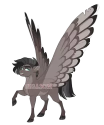 Size: 3500x4200 | Tagged: safe, artist:gigason, derpibooru import, oc, oc:huff puff, pegasus, pony, image, magical gay spawn, male, obtrusive watermark, offspring, parent:doctor caballeron, parent:sky stinger, png, simple background, solo, stallion, transparent background, watermark