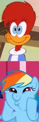 Size: 225x698 | Tagged: safe, derpibooru import, edit, screencap, rainbow dash, bird, pegasus, pony, applebuck season, season 1, crossover, cute, dashabetes, dashface, duckface, female, g4, image, mare, medical winnie pig, png, rainbow dash is best facemaker, reaction, silly, silly face, silly pony, smiling, so awesome, the new woody woodpecker show, winnie woodpecker, woodpecker, woody woodpecker (series)