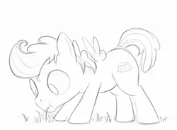 Size: 2096x1539 | Tagged: safe, artist:dtcx97, derpibooru import, oc, unofficial characters only, pegasus, pony, grazing, horses doing horse things, image, jpeg, solo