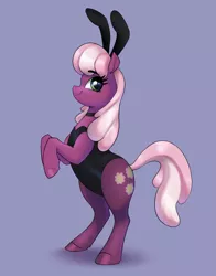 Size: 2467x3140 | Tagged: safe, artist:aquaticvibes, derpibooru import, cheerilee, earth pony, pony, bunny suit, clothes, fake ears, image, leotard, png, rearing, simple background, solo, standing on two hooves