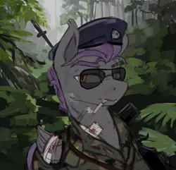 Size: 4573x4400 | Tagged: safe, artist:kelkessel, derpibooru import, oc, oc:argentus, bat pony, pony, equestria at war mod, bandage, beret, camouflage, cigarette, clothes, gun, hat, image, injured, jungle, looking at you, mercenary, military uniform, png, smoking, solo, sunglasses, uniform, weapon