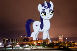 Size: 2130x1420 | Tagged: safe, artist:hunterz263, artist:thegiantponyfan, derpibooru import, moonlight raven, pony, unicorn, female, giant pony, giant unicorn, giantess, highrise ponies, image, irl, kansas, macro, mare, mega giant, photo, png, ponies in real life, smiling, wichita