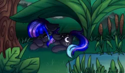 Size: 2500x1471 | Tagged: safe, artist:leah minik, derpibooru import, oc, oc:rain fall, unofficial characters only, pegasus, pony, commission, eyes closed, female, folded wings, freckles, grass, image, lying down, mare, multicolored mane, multicolored tail, pegasus oc, png, pond, reeds, sleeping, solo, tail, tree, water, wings, ych result
