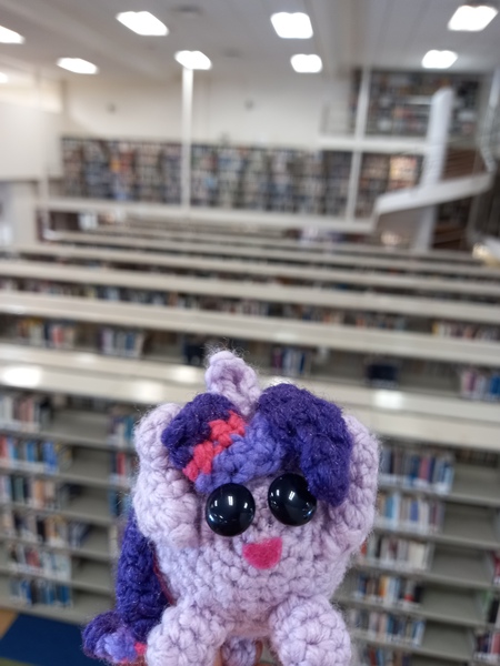 Size: 3000x4000 | Tagged: safe, artist:casquitos kawaii, derpibooru import, twilight sparkle, twilight sparkle (alicorn), alicorn, pony, amigurumi, bookshelf, crochet, handmade, image, irl, jpeg, library, photo, plushie, solo