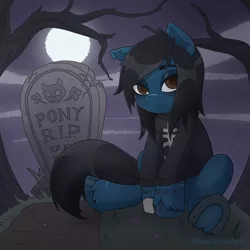 Size: 2048x2048 | Tagged: safe, artist:bluecocoaart, derpibooru import, oc, unofficial characters only, earth pony, pony, undead, zombie, zombie pony, black hair, clothes, commission, full moon, gravestone, hoodie, image, moon, night, png, scar, solo, ych result