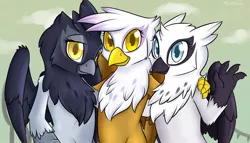 Size: 1984x1133 | Tagged: safe, alternate version, artist:spiritcookie, gilda, giselle, irma, natalya, gryphon, equestria games (episode), background griffon, equestria games, female, griffon team, group photo, image, png, posing for photo, trio, vancouver 2010, vanhoover 2010, winter olympic games