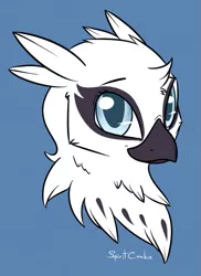 Size: 525x720 | Tagged: safe, artist:spiritcookie, natalya, gryphon, bust, colored, female, flat colors, image, looking at you, png, simple background, solo