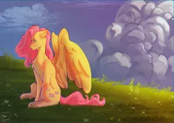 Size: 4093x2894 | Tagged: safe, artist:jaynsparkle, derpibooru import, fluttershy, pegasus, pony, chest fluff, cloud, cloudy, female, grass, image, jpeg, mare, redraw, sitting, solo