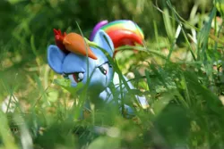 Size: 5184x3456 | Tagged: safe, artist:dustysculptures, derpibooru import, rainbow dash, pegasus, pony, craft, crouching, grass, image, jpeg, narrowed eyes, sculpture, solo