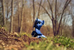 Size: 5184x3456 | Tagged: safe, artist:dustysculptures, derpibooru import, princess luna, alicorn, pony, craft, forest, image, jpeg, raised hoof, s1 luna, sculpture, sitting, solo, tree