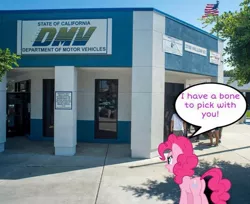 Size: 1125x918 | Tagged: safe, artist:bloommoonbeam, derpibooru import, edit, pinkie pie, earth pony, dialogue box, dmv, image, irl, jpeg, photo