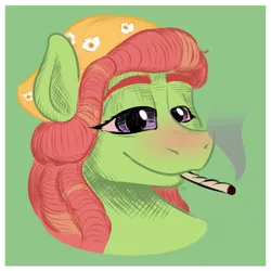 Size: 2000x2000 | Tagged: safe, artist:oldman, derpibooru import, tree hugger, earth pony, pony, bloodshot eyes, bust, drugs, image, marijuana, png, portrait, sketch, smoke, solo