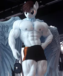 Size: 3000x3600 | Tagged: safe, artist:dashie116, derpibooru import, oc, oc:calm wind, anthro, pegasus, pony, 3d, abs, commission, daz studio, deltoids, gym, gym shorts, image, male, muscles, muscular male, pecs, png, solo, stallion