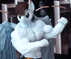 Size: 3600x3000 | Tagged: safe, artist:dashie116, derpibooru import, oc, oc:calm wind, anthro, pegasus, pony, 3d, abs, biceps, commission, deltoids, flexing, gym, image, male, muscles, muscular male, pecs, png, solo, stallion
