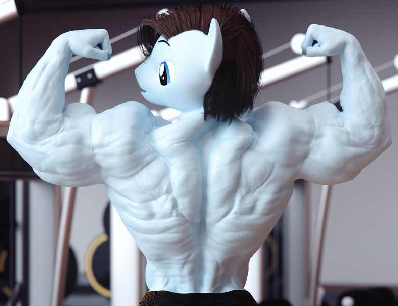 Size: 3900x3000 | Tagged: safe, artist:dashie116, derpibooru import, oc, oc:calm wind, anthro, pony, 3d, back muscles, biceps, commission, daz studio, flexing, gym, image, male, muscles, muscular male, png, solo, solo male, stallion