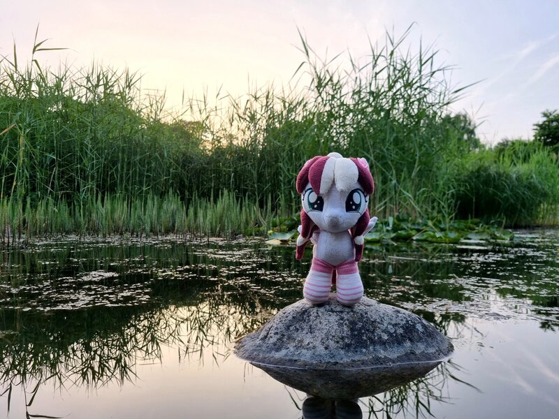 Size: 4032x3024 | Tagged: safe, artist:xeto_de, derpibooru import, oc, oc:vanilla cream, original species, plush pony, pony, female, filly, foal, g4, image, irl, jpeg, nature, photo, plushie, realistic