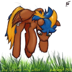 Size: 1000x1000 | Tagged: safe, artist:hiddelgreyk, derpibooru import, oc, unofficial characters only, pegasus, pony, airborne, behaving like a fox, blue mane, brown coat, cutie mark, grass, green eyes, image, jumping, male, newbie artist training grounds, pegasus oc, png, pounce, simple background, stallion, tail, touch grass, transparent background, two toned mane, two toned tail, wings