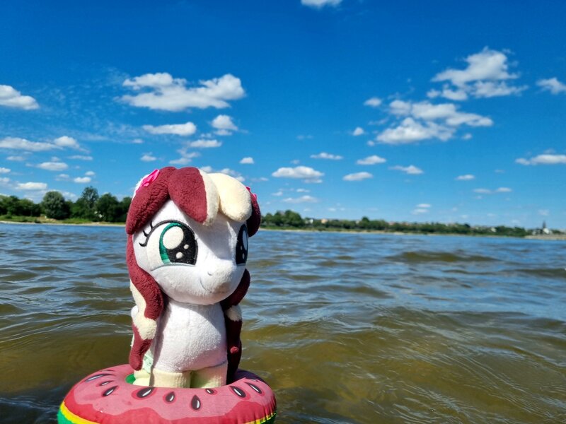 Size: 4032x3024 | Tagged: safe, artist:xeto_de, derpibooru import, oc, oc:vanilla cream, original species, plush pony, pony, female, filly, foal, image, jpeg, nature, photo, plushie, river, swimming, water