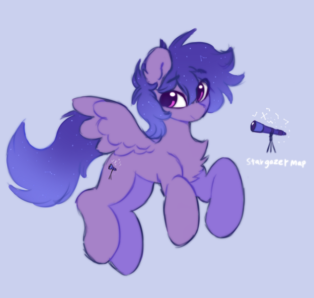 Size: 1246x1183 | Tagged: safe, artist:flixanoa, derpibooru import, oc, oc:stargazermap, unofficial characters only, pegasus, pony, chest fluff, cutie mark, ethereal mane, folded wings, image, male, pegasus oc, png, pony oc, reference, reference sheet, solo, solo male, starry mane, telescope, wings