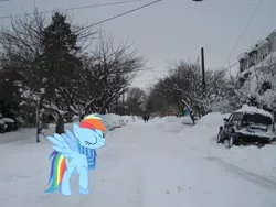 Size: 1920x1440 | Tagged: safe, artist:anxet, artist:mlplover94, derpibooru import, rainbow dash, pegasus, pony, car, clothes, delaware, female, image, irl, mare, photo, png, ponies in real life, scarf, snow, solo, vehicle, wilmington