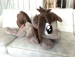 Size: 1280x960 | Tagged: safe, artist:azgchip, derpibooru import, oc, unofficial characters only, pegasus, pony, couch, image, jpeg, lying down, male, photo, plushie, solo, stallion