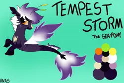 Size: 1500x1004 | Tagged: safe, artist:sototheangel, derpibooru import, oc, classical hippogriff, hippogriff, original species, sea pony, seapony (g4), image, jpeg, original art, original character do not steal, reference, reference sheet, seapony oc