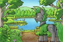 Size: 2688x1791 | Tagged: safe, artist:dandy, derpibooru import, oc, oc:jack pine, unofficial characters only, earth pony, pony, artfight, beard, clothes, copic, facial hair, flower, image, lake, male, nature, png, shirt, solo, stallion, traditional art, tree, unshorn fetlocks, water