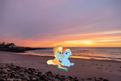 Size: 2048x1365 | Tagged: safe, artist:daydreamsyndrom, artist:mlplover94, derpibooru import, applejack, rainbow dash, earth pony, pegasus, pony, appledash, beach, female, floppy ears, hampton, image, irl, jpeg, lesbian, lidded eyes, mare, new hampshire, photo, ponies in real life, pouting, pouty lips, shipping, sitting, spread wings, wings