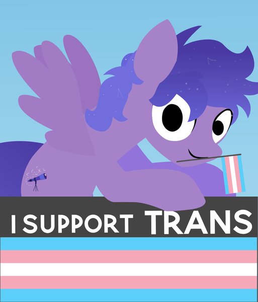 Size: 2259x2644 | Tagged: safe, artist:indonesiarailroadpht, derpibooru import, oc, oc:stargazermap, pegasus, pony, commission, image, jpeg, pride, pride flag, solo, transgender pride flag, ych result