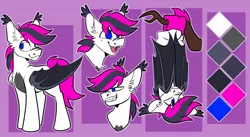 Size: 1629x893 | Tagged: safe, artist:rockin_candies, derpibooru import, oc, oc:lance, unofficial characters only, bat pony, pony, blue eyes, image, jpeg, male, multicolored hair, pink hair, reference sheet, solo, stallion