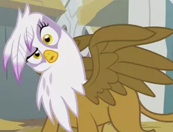 Size: 910x694 | Tagged: safe, screencap, gilda, gryphon, the lost treasure of griffonstone, building, confused, expression, head tilt, image, one eye half closed, open mouth, png, reaction, solo, spread wings, standing, wings